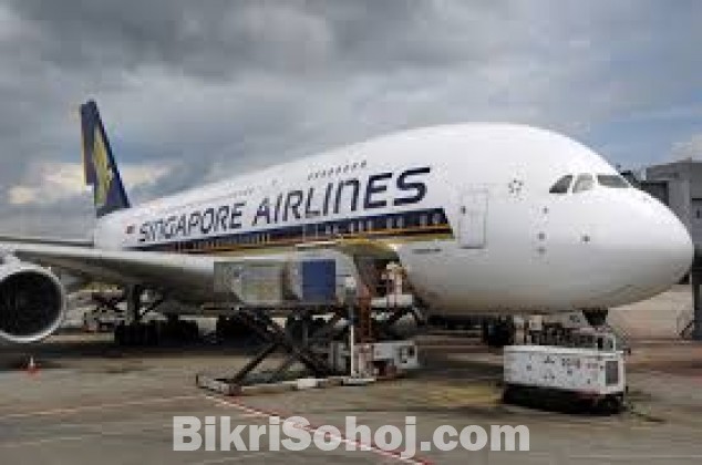 carry cargo world wide singapore, dubai,spain, uk etc